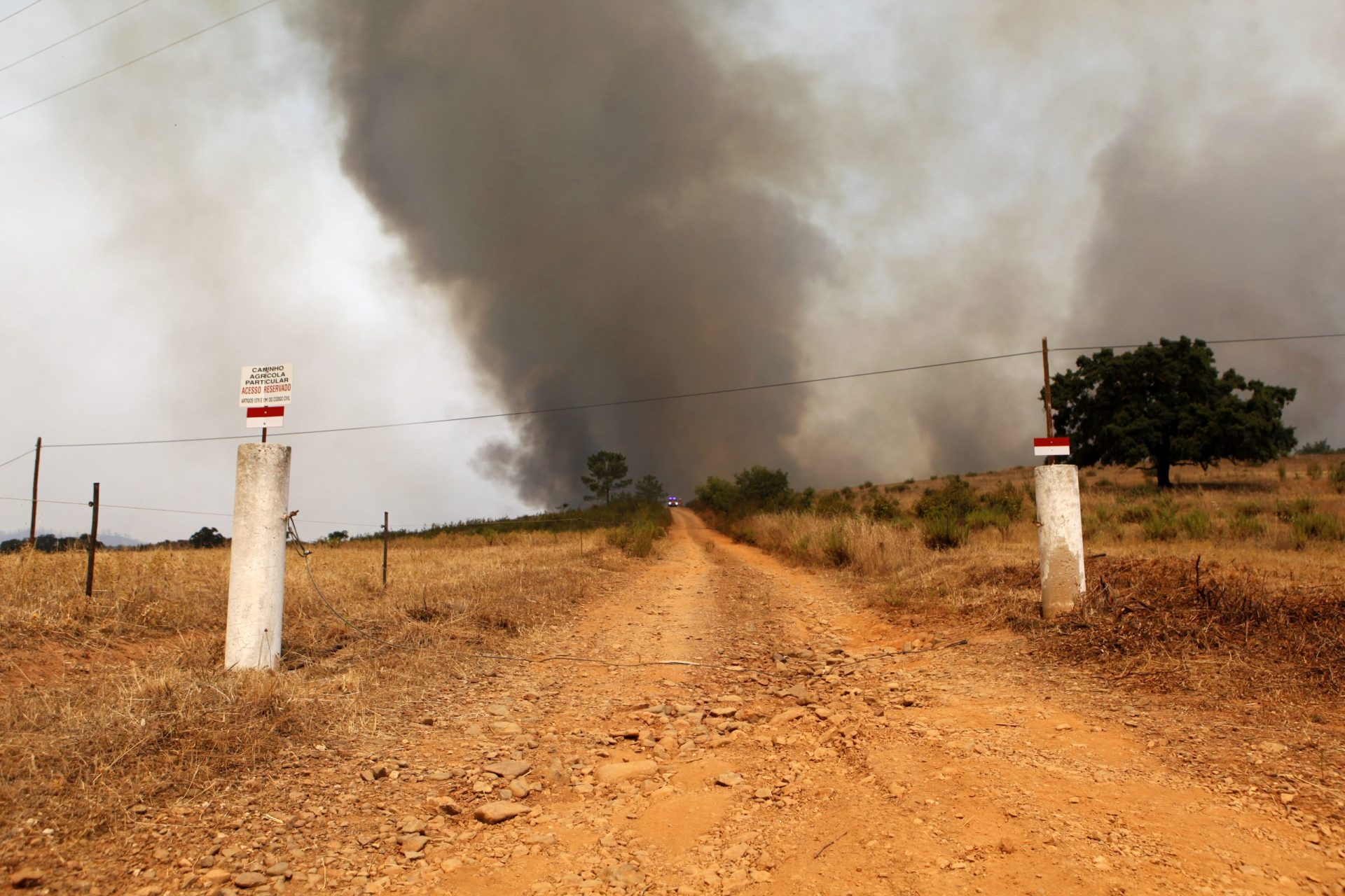 Monchique. Chamas já consumiram cerca de 21.300 hectares