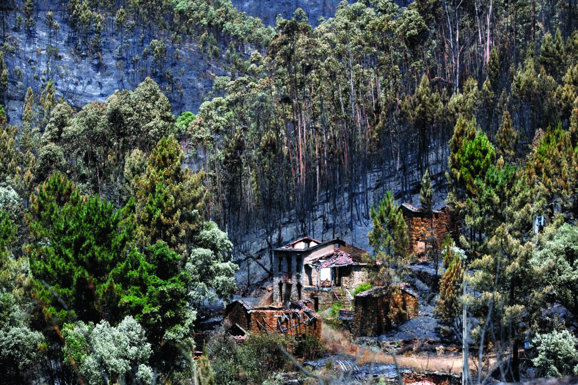 Incêndios. Governo fica com metade do dinheiro enviado por Bruxelas