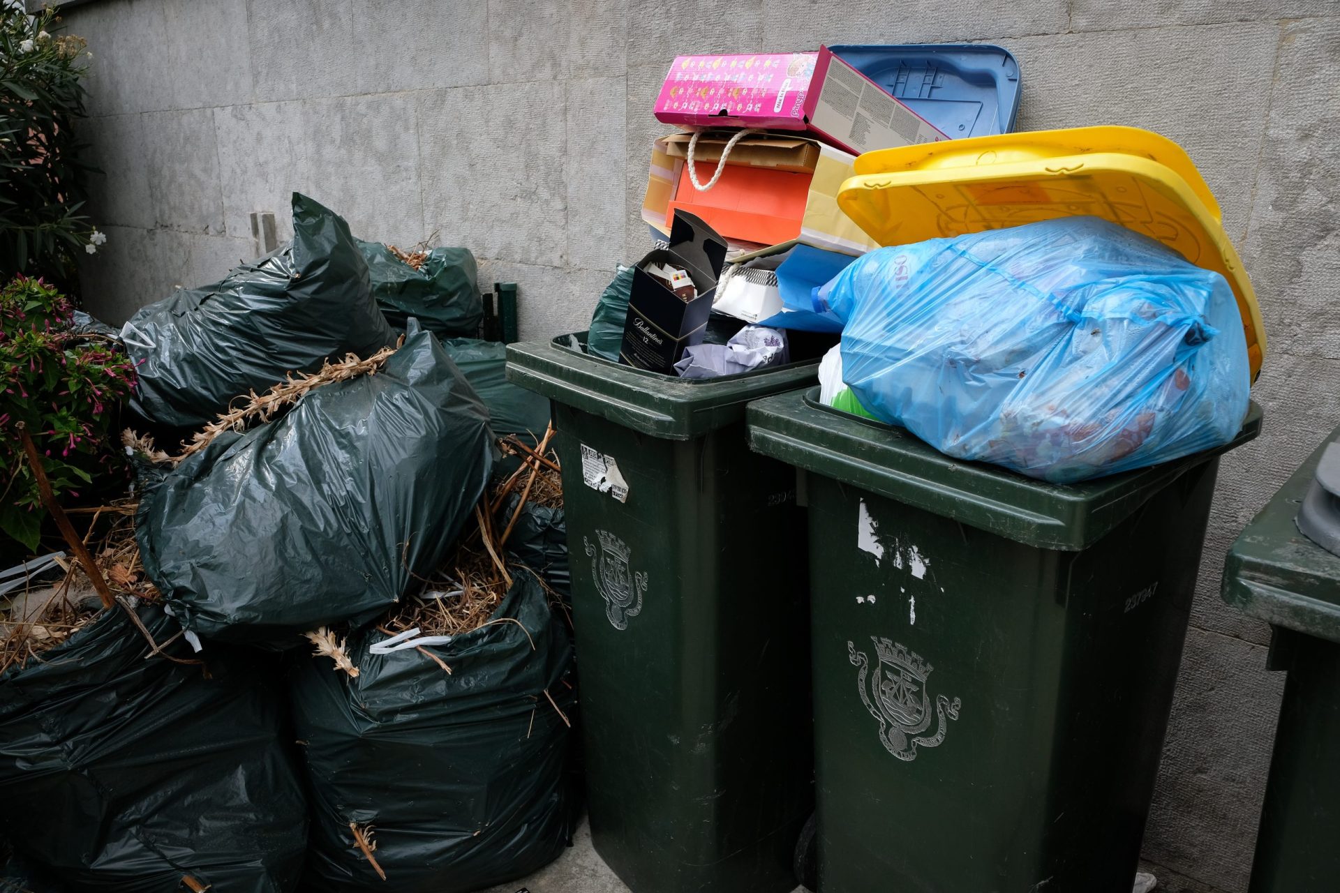 Portugueses produzem cada vez mais lixo e reciclam pouco. Este ano não será exceção