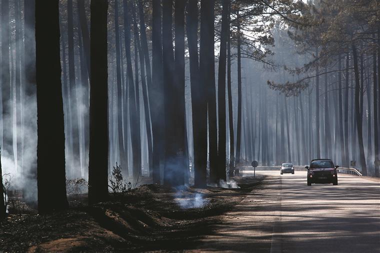 Fogo no Pinhal de Leiria vai a julgamento