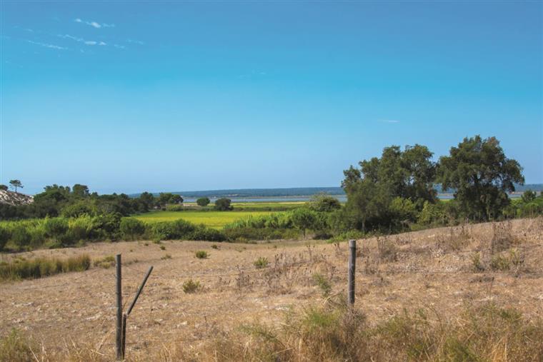 Assinatura da Comporta adiada para 14 de novembro