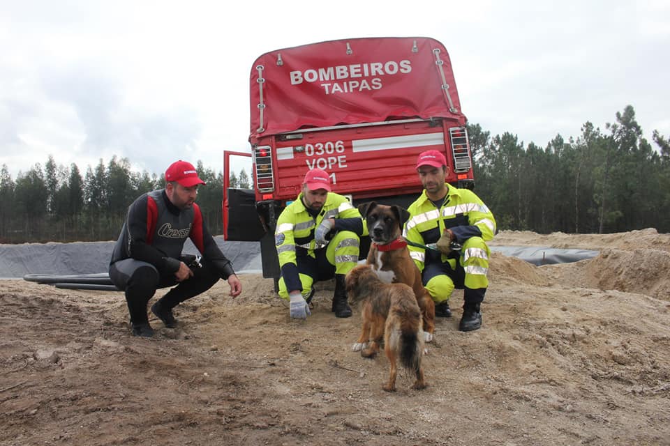 Bombeiros das Taipas salvam cães de afogamento