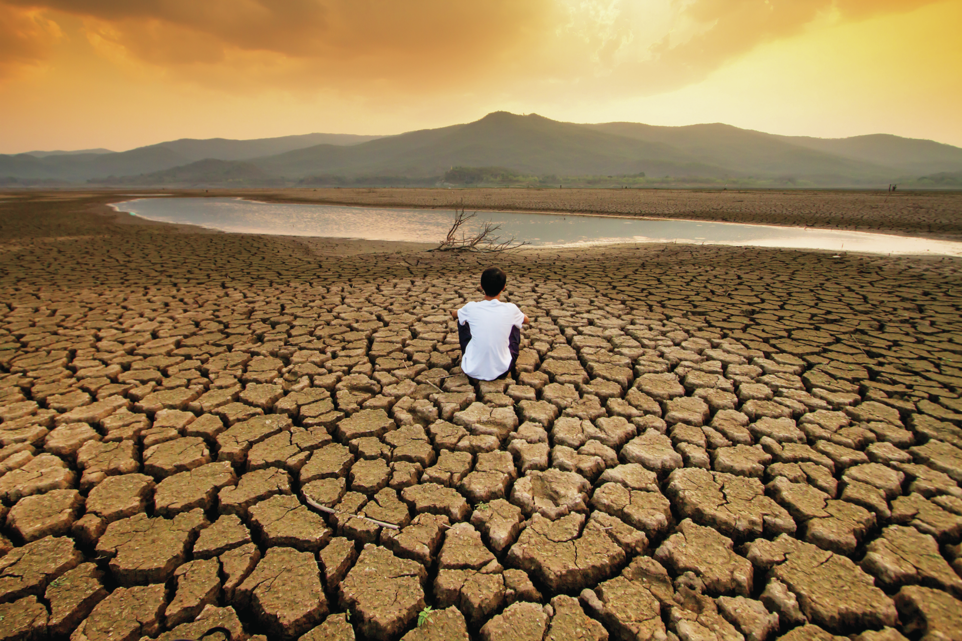 Dicionário Oxford já escolheu: “emergência climática” é a expressão do ano