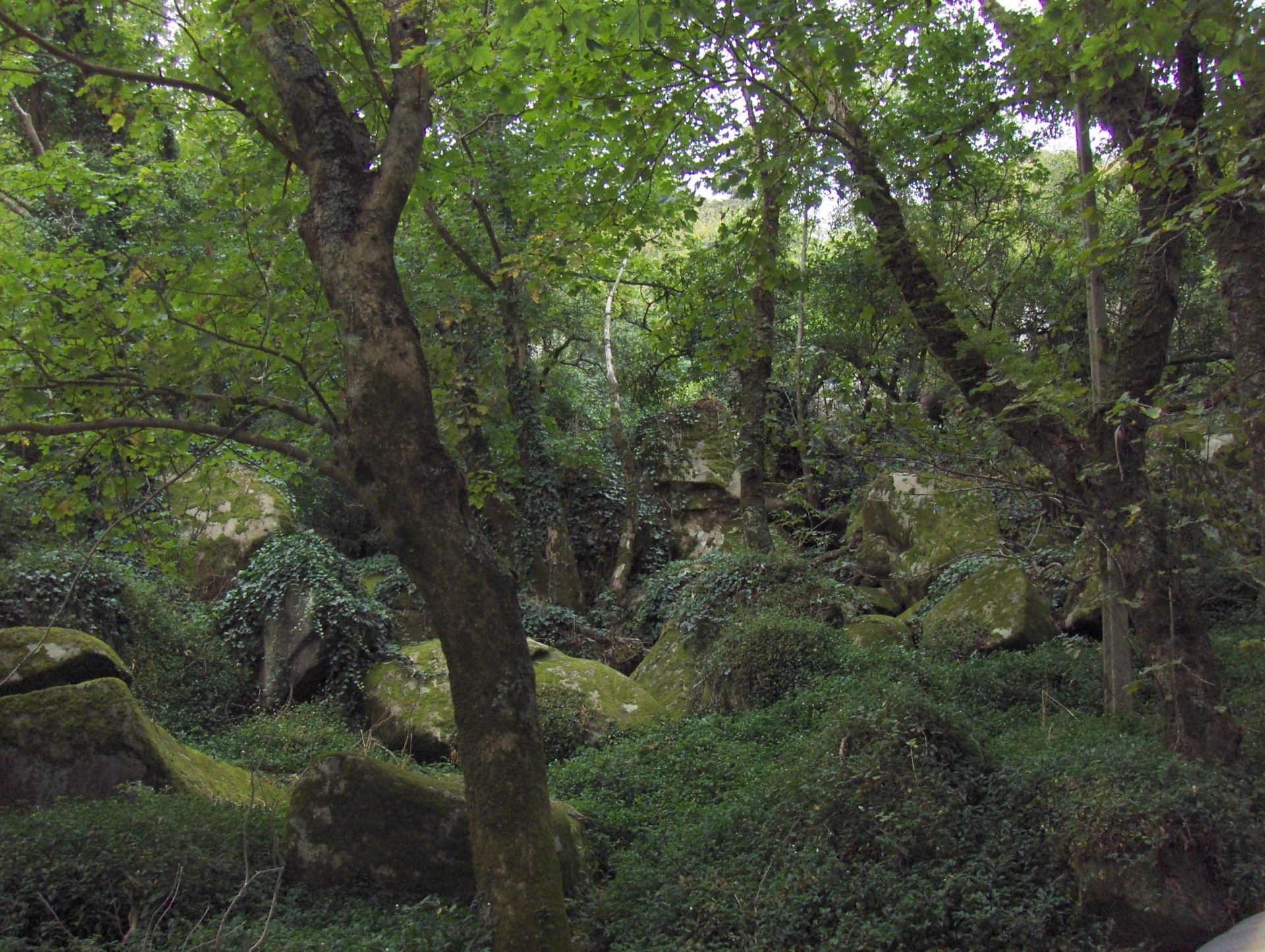 Duas turistas que se encontravam perdidas na serra de Sintra já foram resgatadas