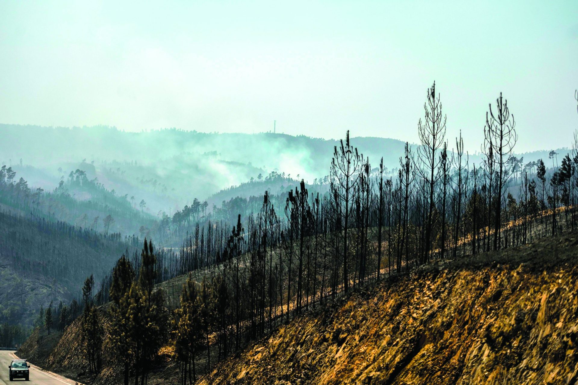 Incêndios. TdC aponta para atrasos na aprovação da estratégia de defesa da floresta