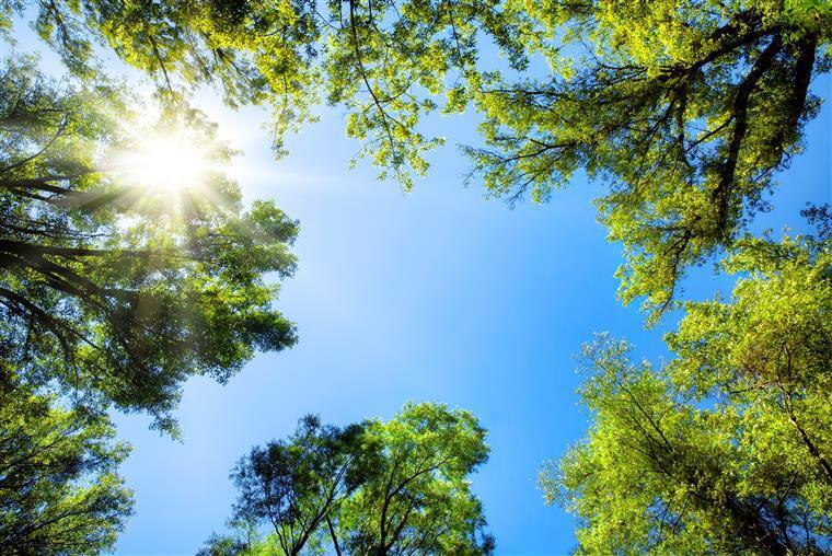 Fim de semana vai ficar marcado pelo sol mas também pelo frio