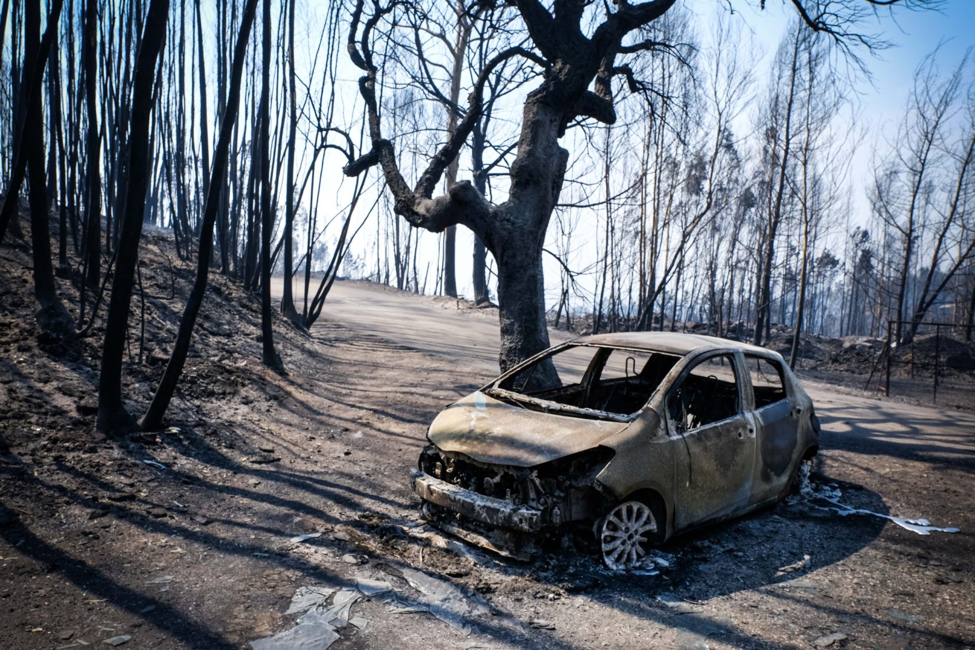 Pedrógão. Relatório da IP concluído três dias depois do incêndio