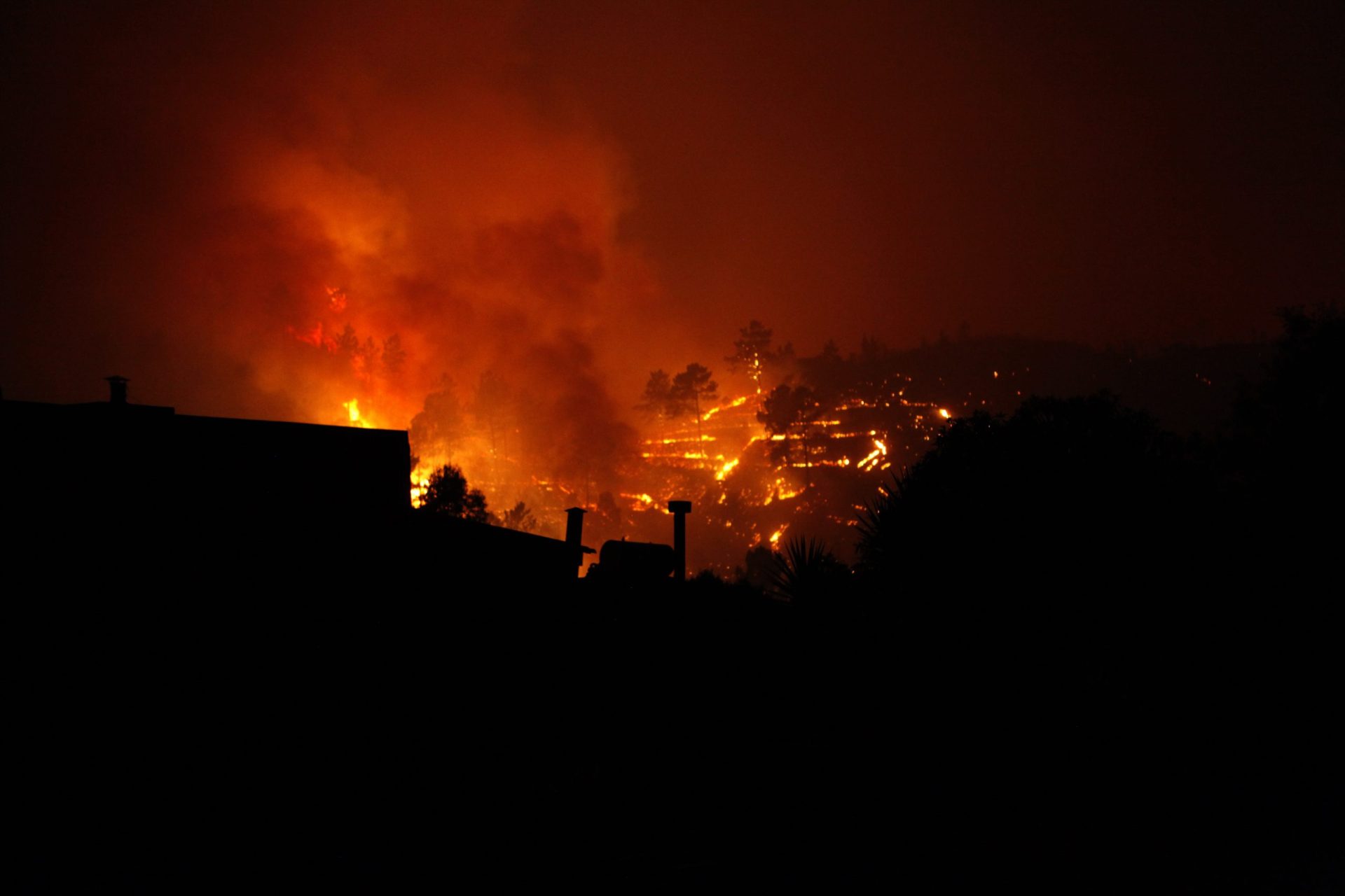 TdC analisa planos contra fogos florestais de 30 autarquias