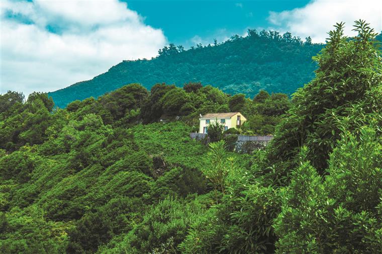 Alerta: Faltam apenas dez dias para terminar o prazo de limpeza dos terrenos