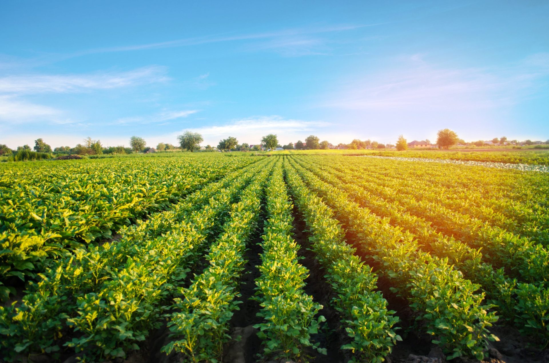 Governo identifica problemas dos agricultores