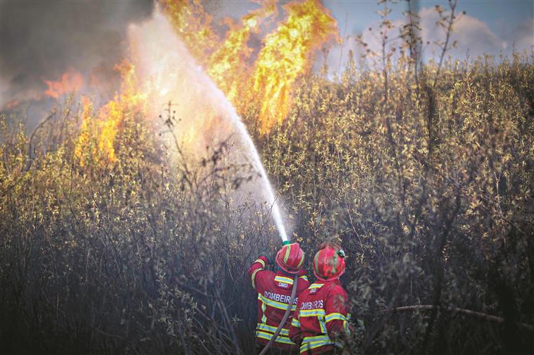 Proteção Civil alerta para perigo de incêndio devido ao calor extremo