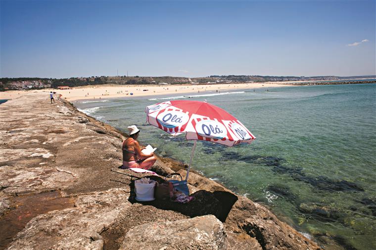 Avistadas caravelas-portuguesas na Caparica, Estoril e Carcavelos. Saiba os cuidados a ter