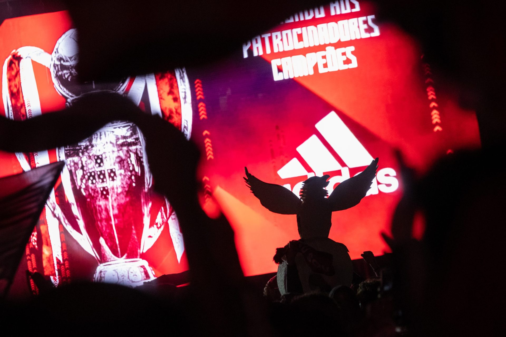 Os festejos dos adeptos do Benfica no Marquês do Pombal |Fotogaleria