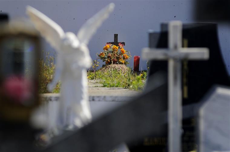 Visitas aos cemitérios do Porto duplicaram nos últimos quatro anos