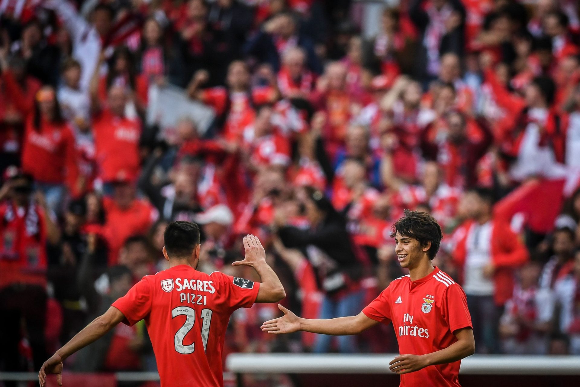 Junta de São Domingos de Benfica pinta passadeiras em homenagem ao Benfica