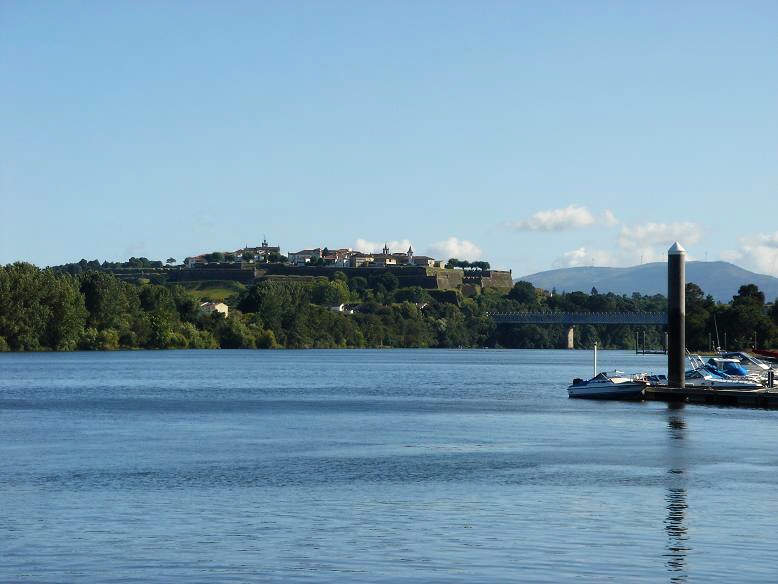 Repovoamento de salmões no Rio Minho