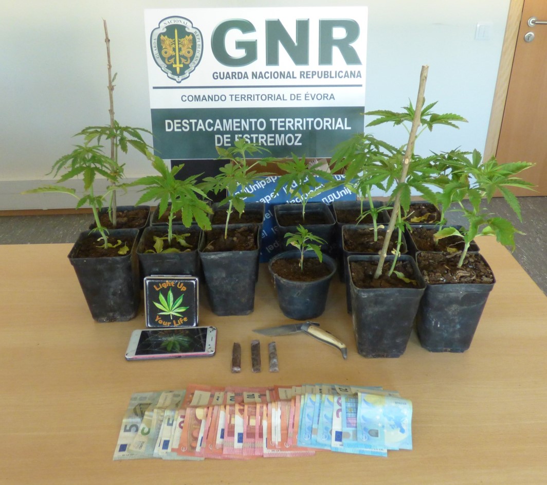 GNR identifica suspeito de vender droga numa escola de Évora