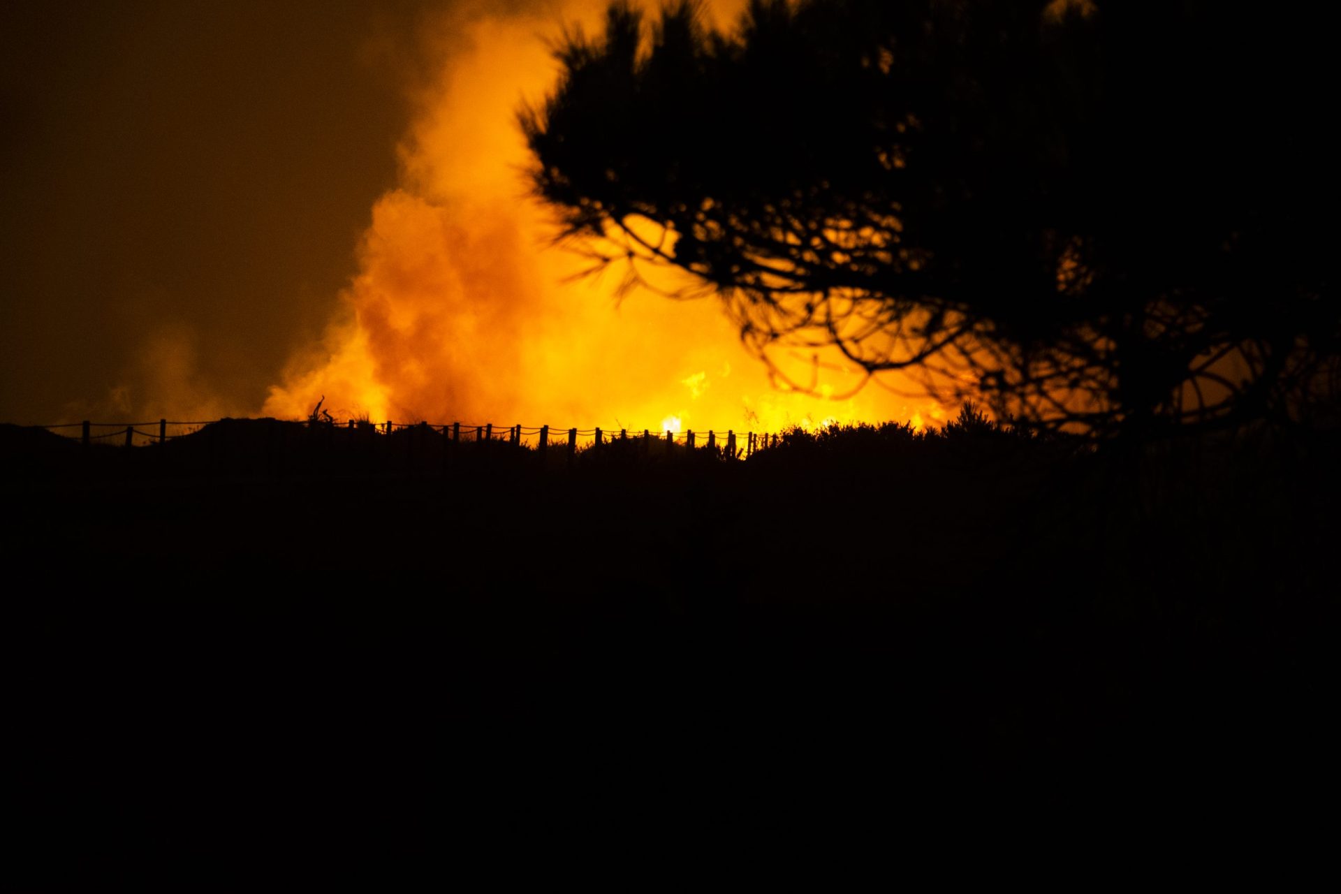 Incêndios. “O Governo não fez a devida avaliação do que ocorreu em 2017”