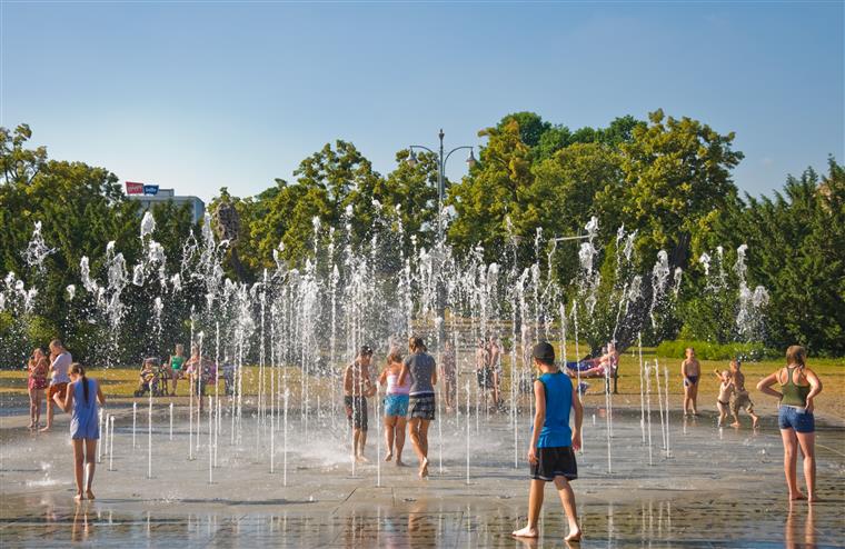 Calor. Próximos dias estarão a favor dos incêndios