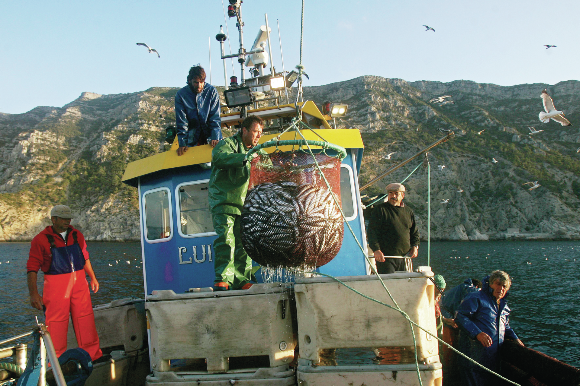 Pesca. A partir de hoje volta a haver sardinha nas redes