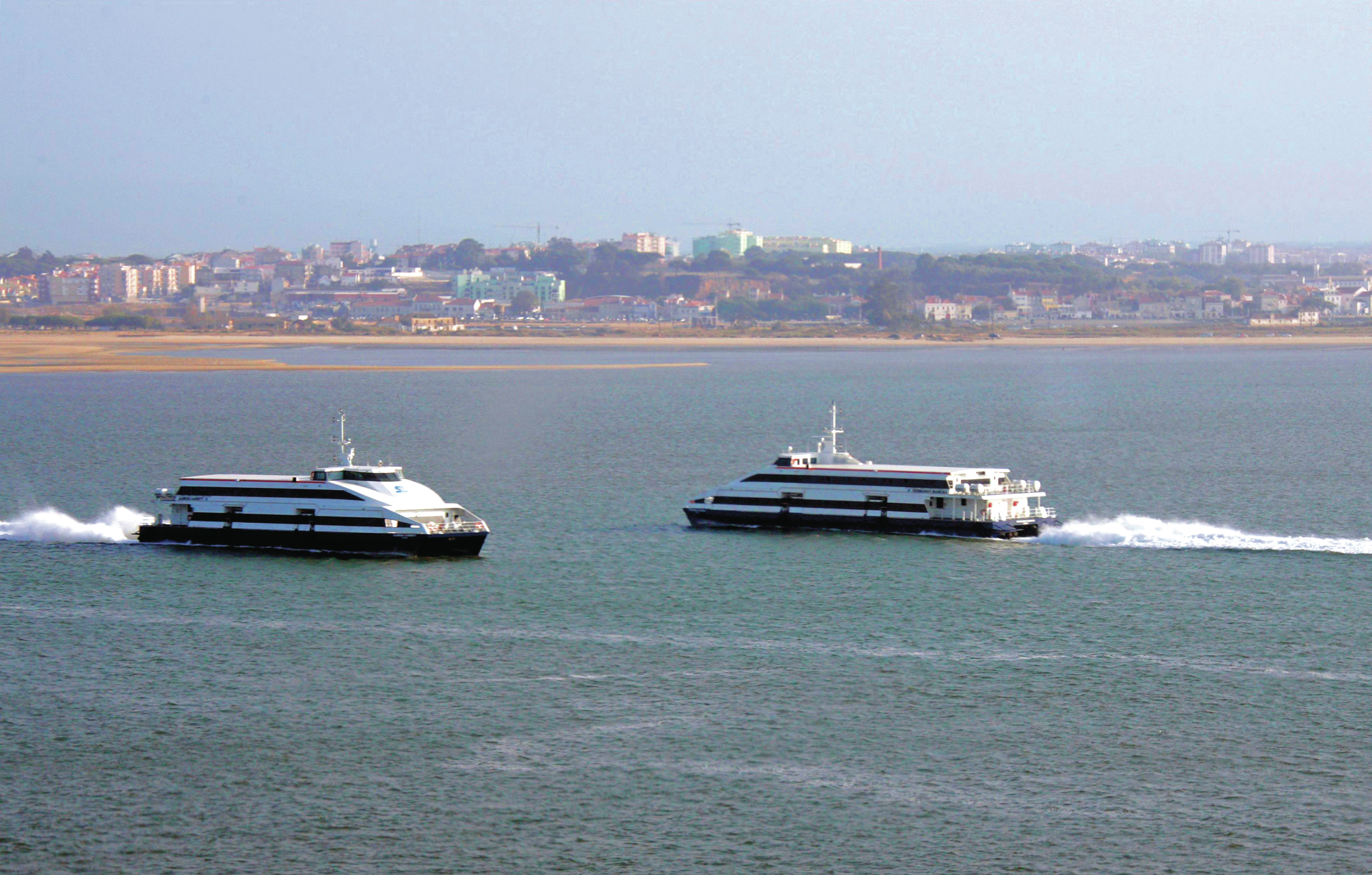 CDS quer abrir serviço de travessia fluvial do Tejo a empresas privadas