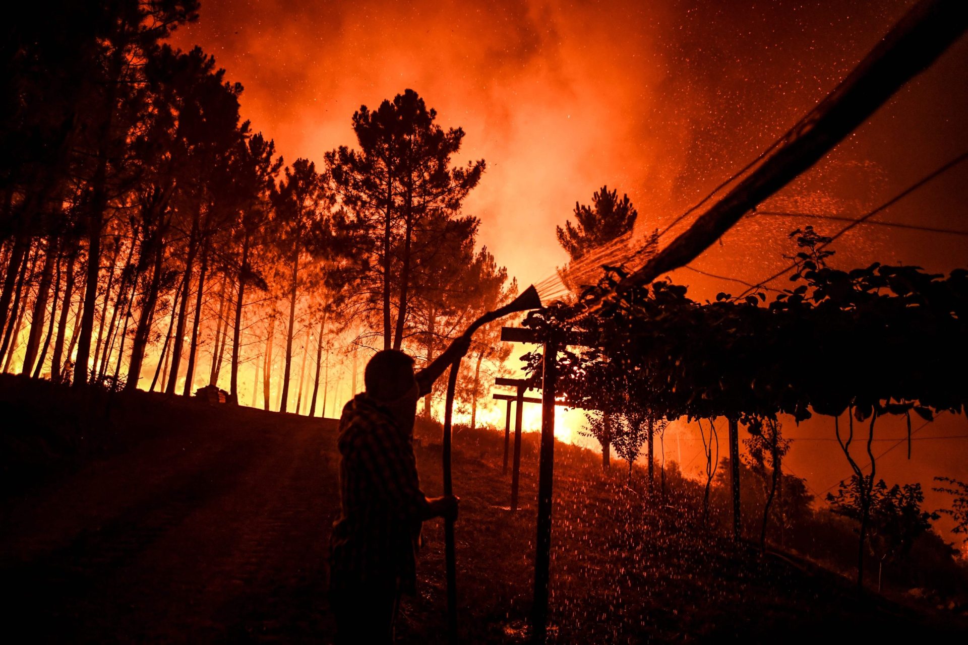 Governo enfrenta incêndios a três meses das legislativas