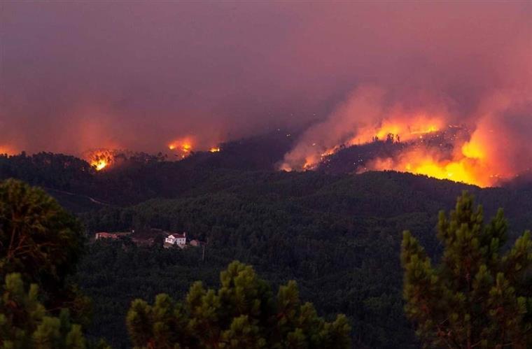 PJ detém suspeito de atear fogos