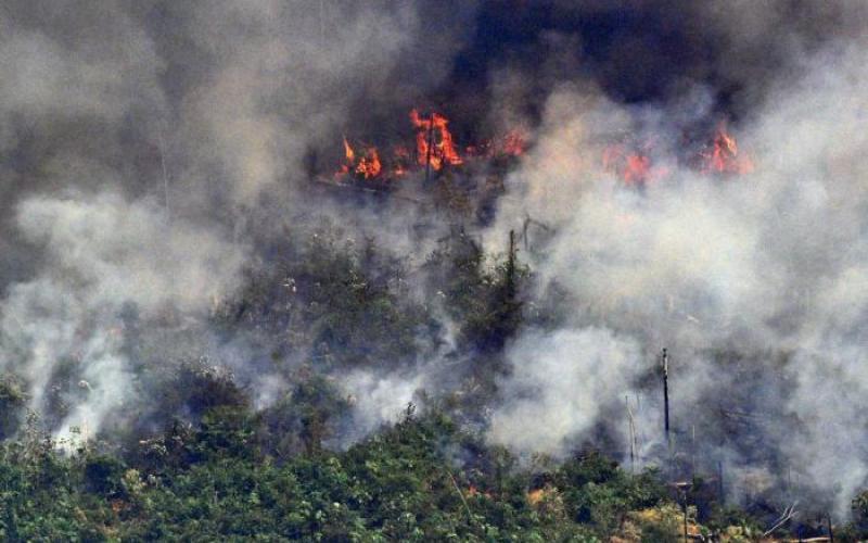 Amazónia. Marcas suspendem compras