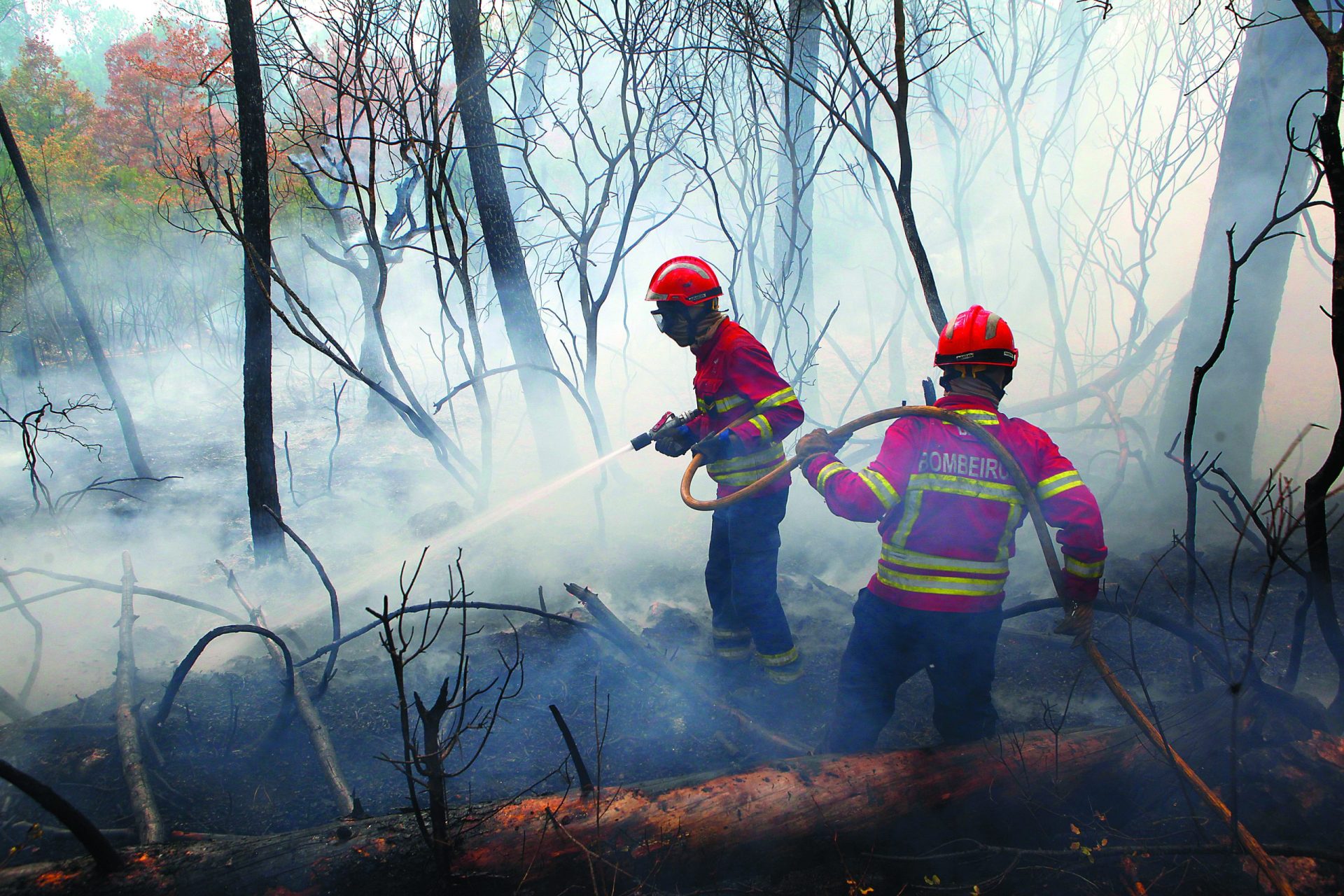 Setembro. Temperaturas atingem os 39.ºC e os fogos voltam