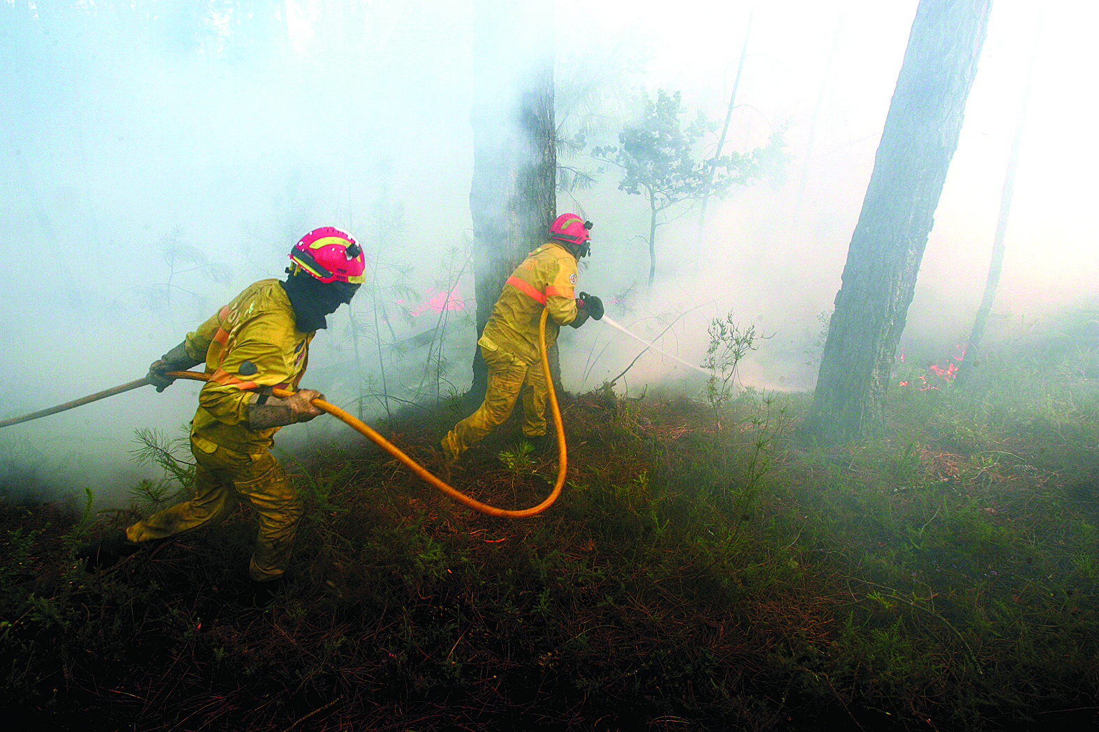 Temperaturas atingem os 39.ºC e os fogos voltam