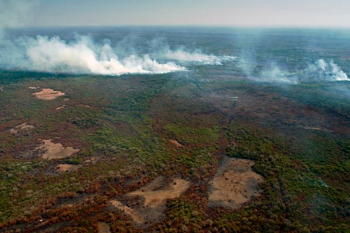 Incêndios no Pantanal brasileiro são os maiores desde 1998