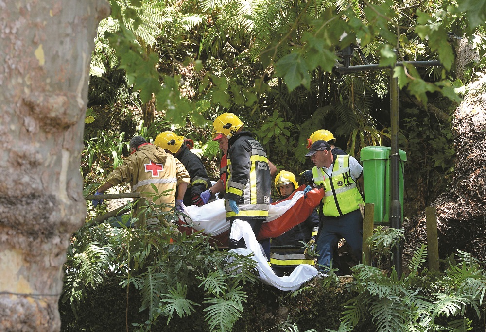 Queda de árvore na Madeira. Arguidos vão a julgamento