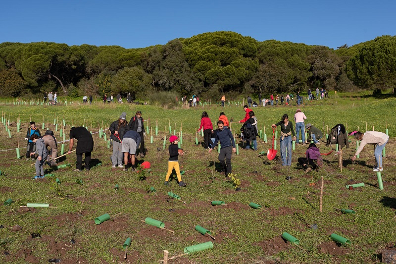 Lisboa. Mais de 4500 pessoas plantam 21 mil árvores