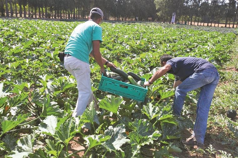 Confederação dos agricultores critica Governo pela proibição de feiras e mercados