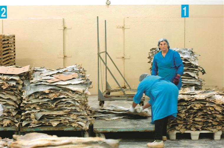 Bacalhau. Entre 4 e 5 mil toneladas para o Natal em Portugal