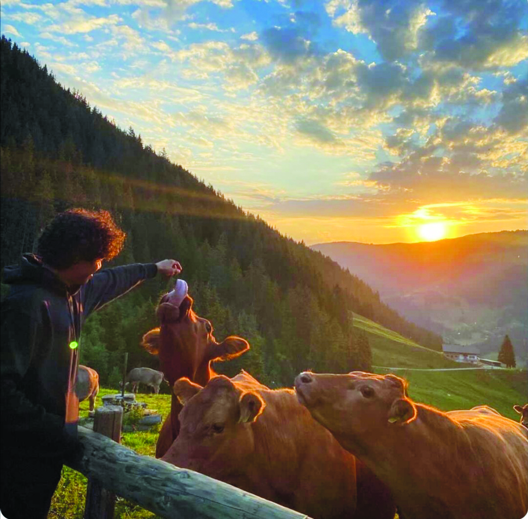 Voluntários. A alternativa económica ao turismo que permite viajar em tempos de pandemia