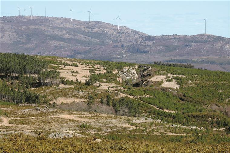 Lítio. APA nega processo de avaliação de impacte ambiental em Montalegre