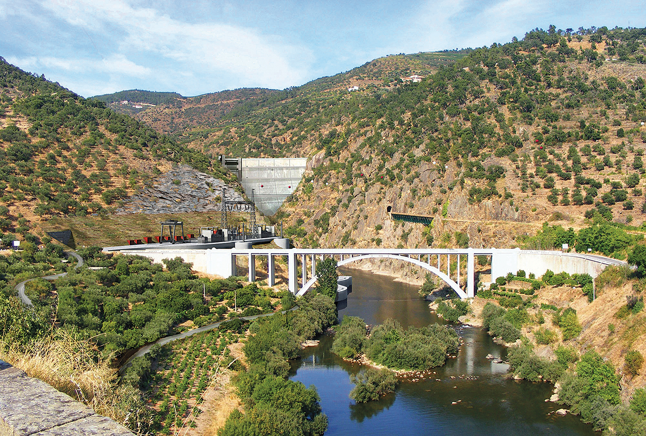 Barragem do Foz-Tua aumentou a qualidade da vinha e do olival