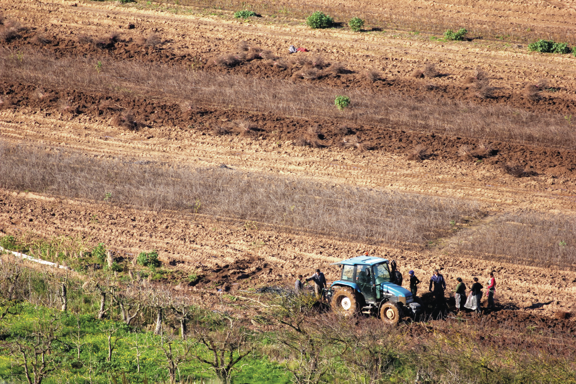 Agricultores exigem “decisões políticas” para continuarem  a alimentar o país