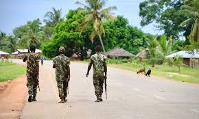 Cabo Delgado. Moçambique anuncia a morte de 50 terroristas