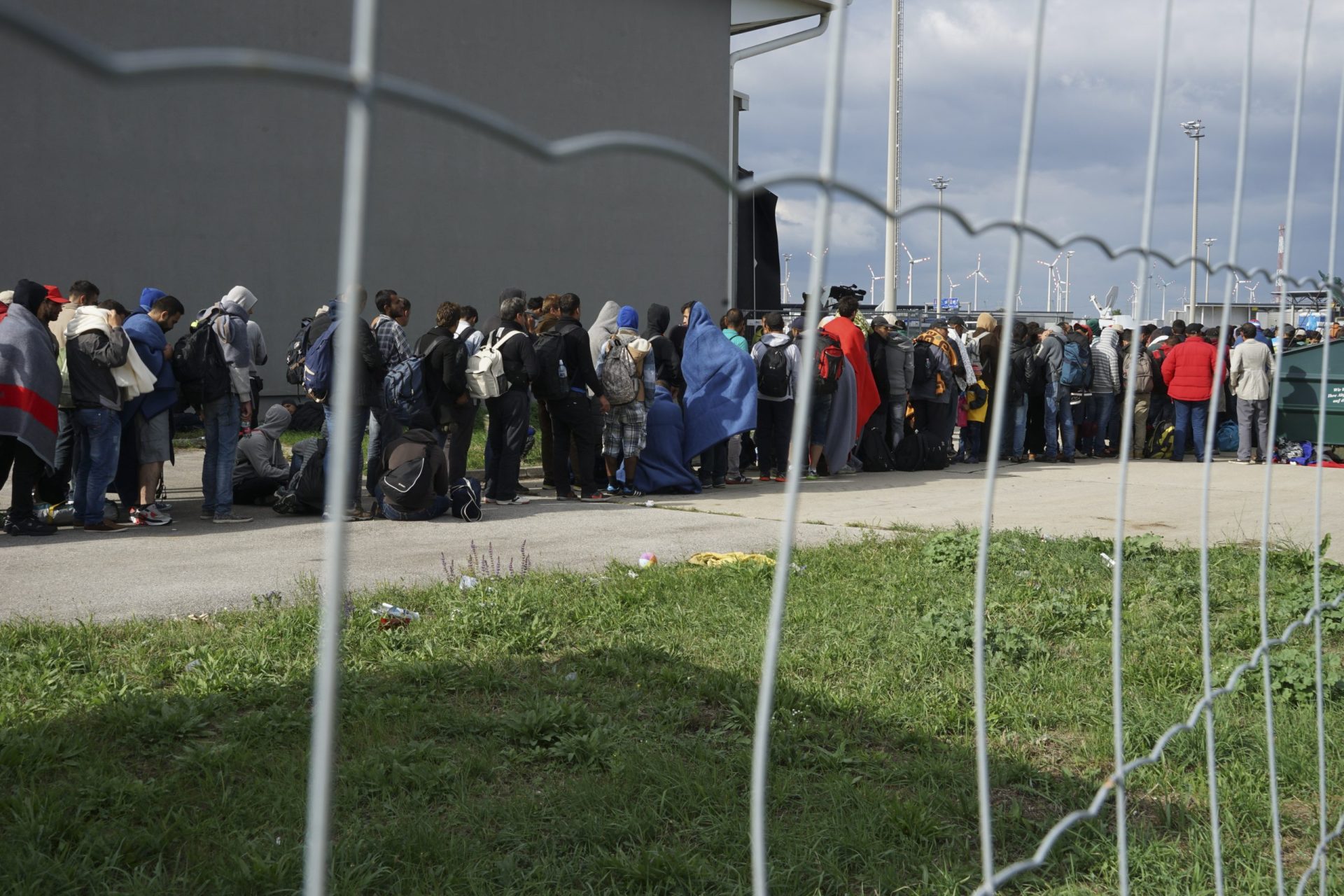 Estudo diz que é mais provável contrair covid-19 num centro de refugiados do que num cruzeiro