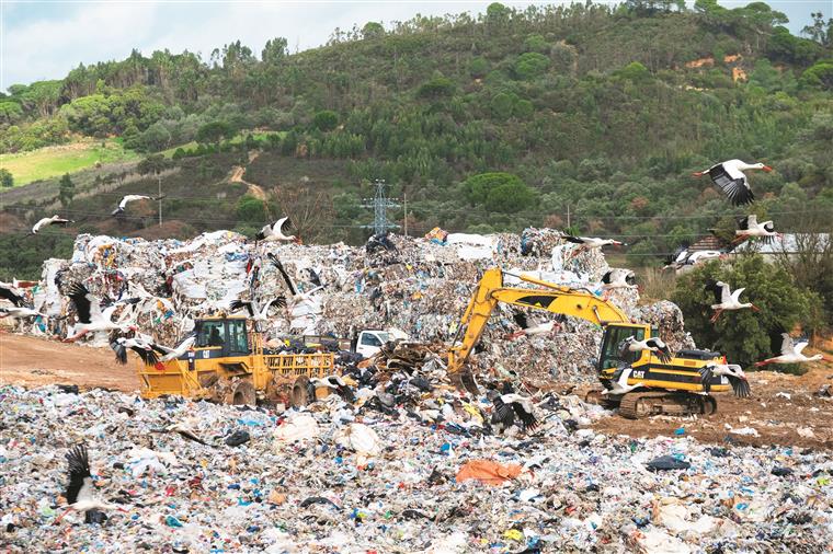 Aterro de Valongo. Inspeção do Ambiente confirma existência de três processos em curso