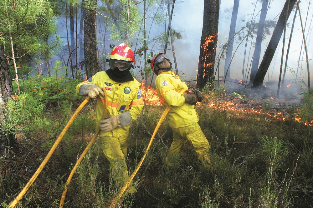 Incêndios. Trabalho do Governo alvo de críticas pelo Observatório Técnico Independente