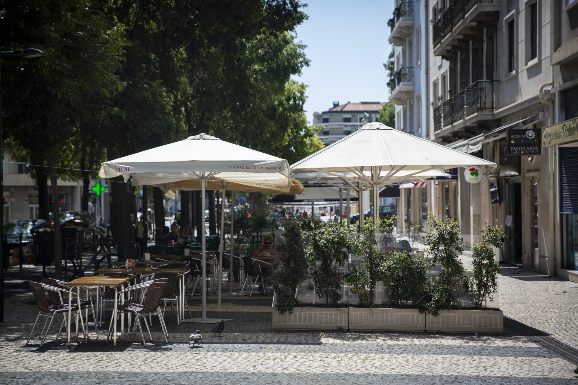 Esplanadas. Floreiras a dar cor a Lisboa e muitos pedidos de alargamento