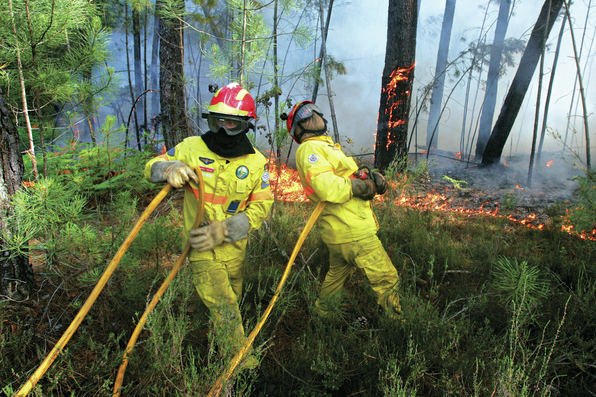 Bombeiros de Elvas. Sem órgão de gestão e com críticas a apontar