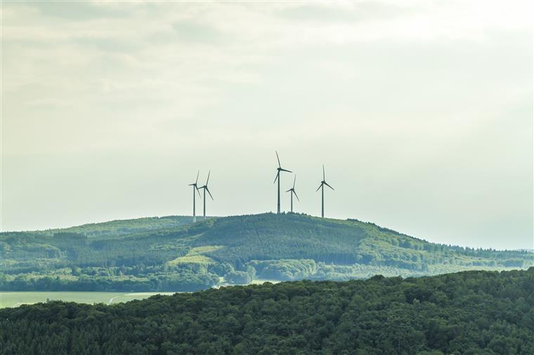 EDP Renováveis. Novo parque eólico de Harvest Ridge (EUA) já está operacional