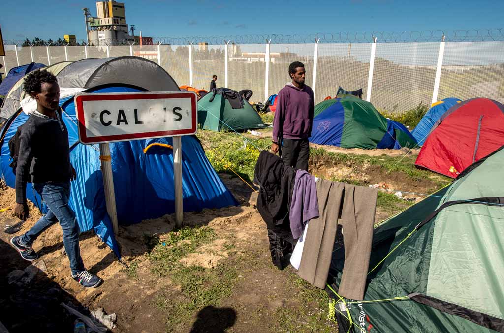 Desmantelamento de acampamento em Calais onde vivem 800 migrantes