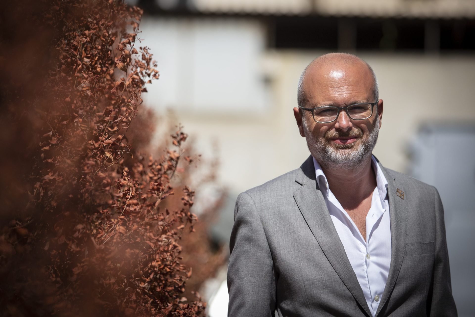 Francisco Miranda Rodrigues. “A pobreza tem muito impacto na saúde mental”