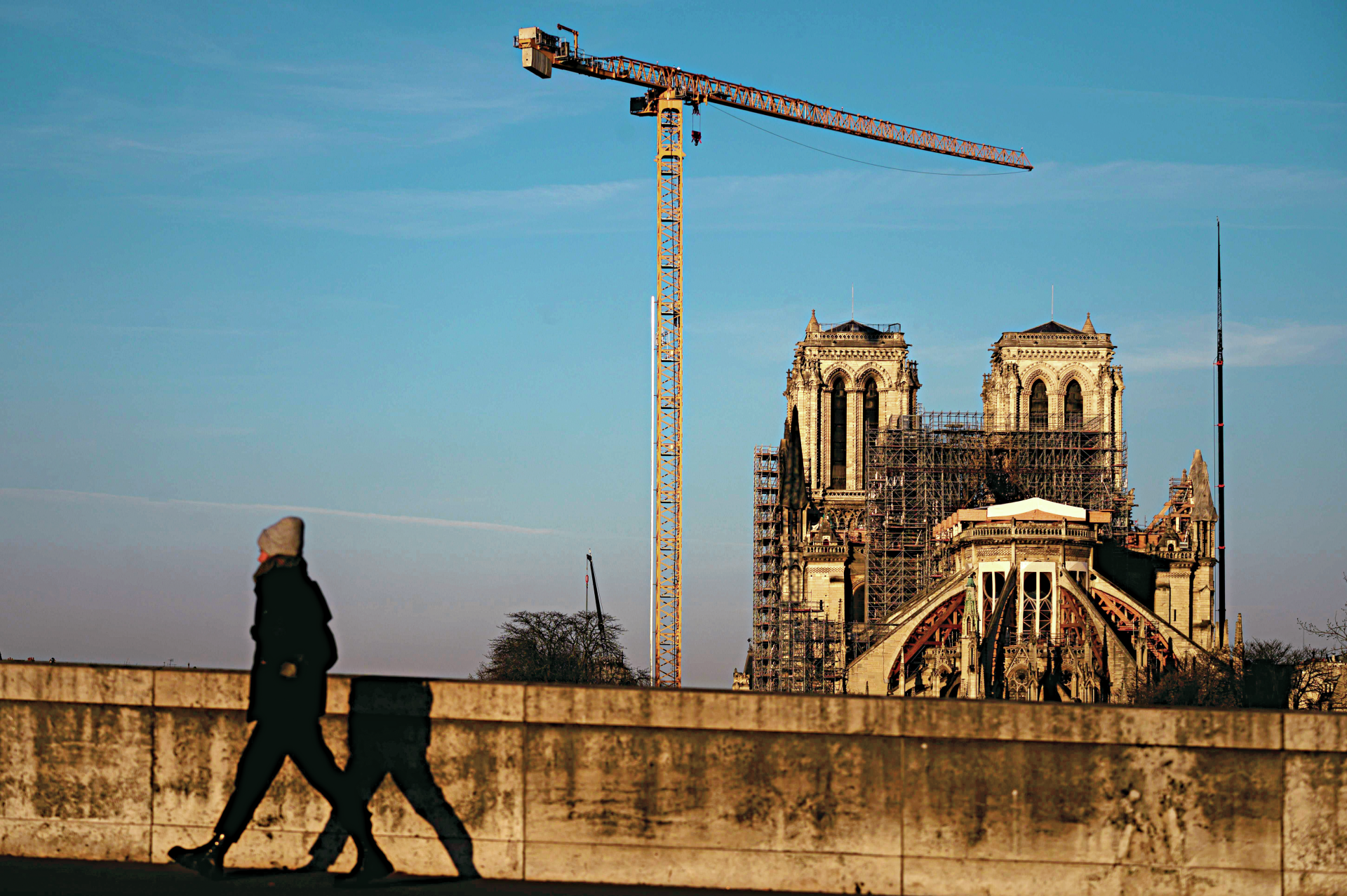 Notre-Dame. Cripta da catedral reabre hoje