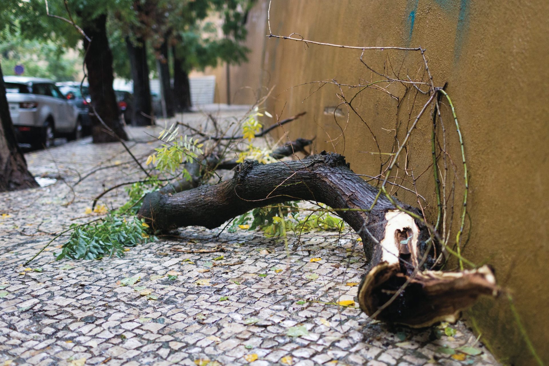 Mau tempo.  Fortes chuvadas vão dar tréguas e lugar ao frio